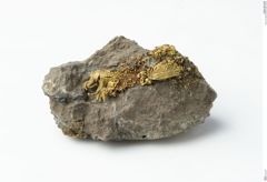 Foto von Gold (NHMW-MIN-Ai642)